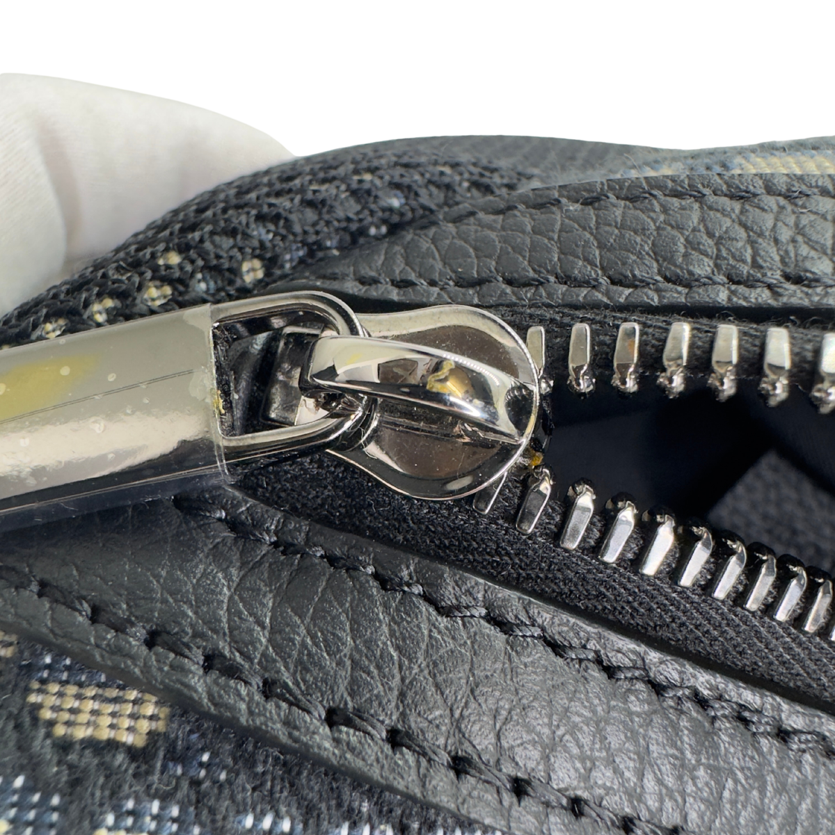 Dior Oblique Scarab Sling Bag