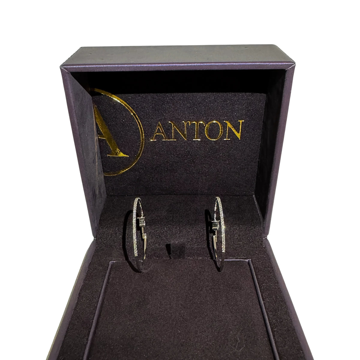 Anton Earrings (hoops) - Lost Designer