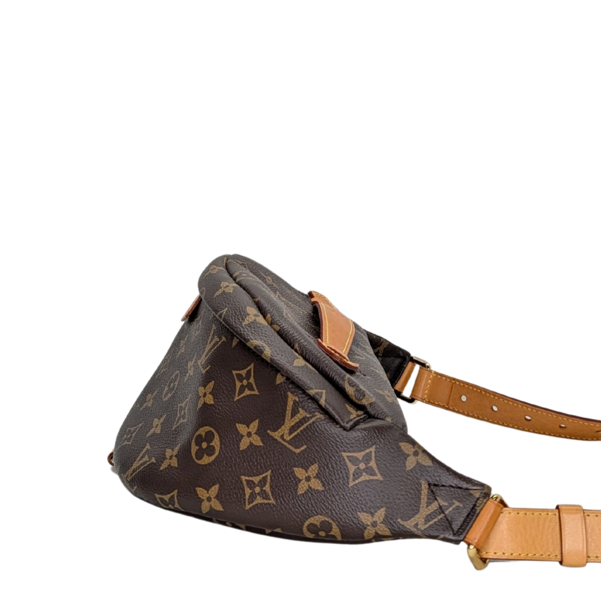 Louis Vuitton Bumbag Monogram