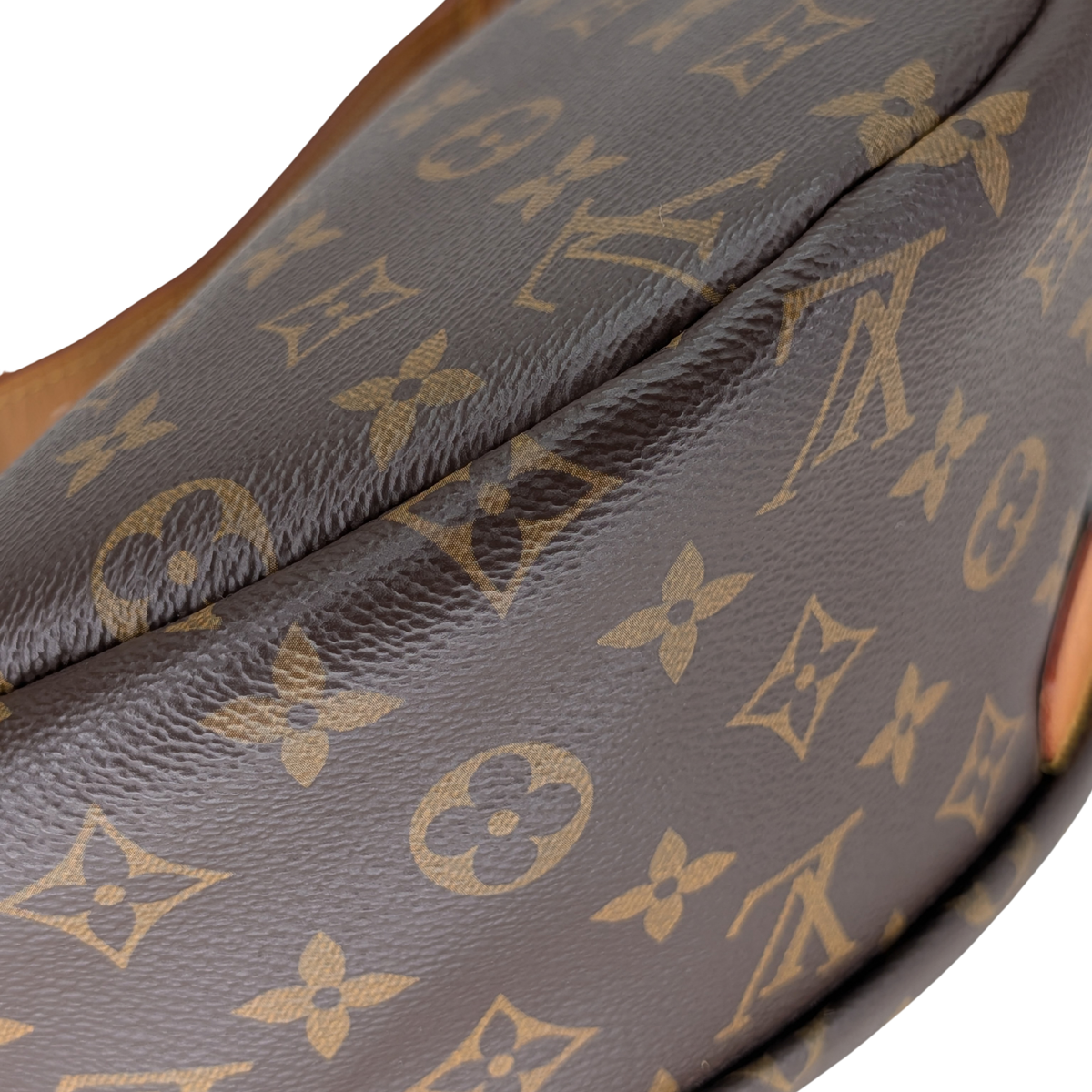 Louis Vuitton Bumbag Monogram
