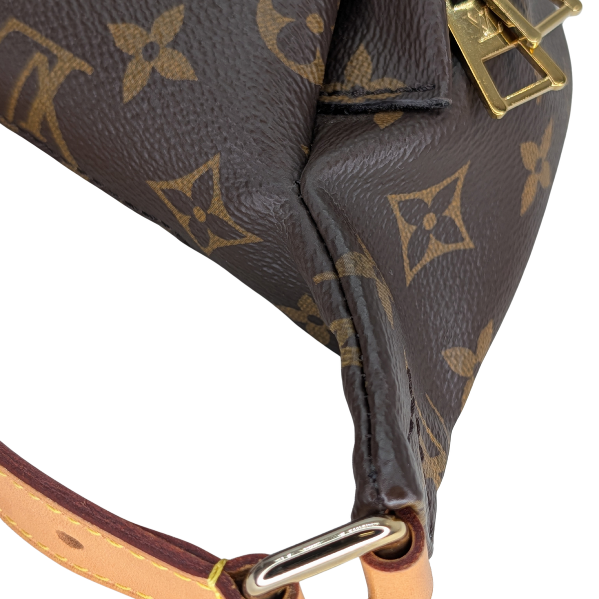 Louis Vuitton Bumbag Monogram